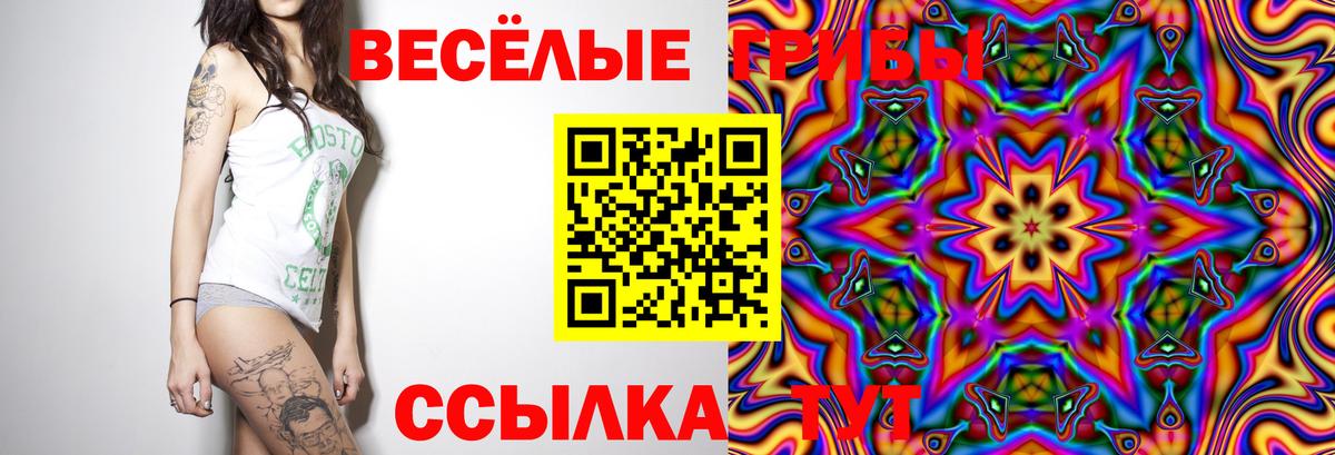 Галлюциногенные грибы мухоморы Сургут